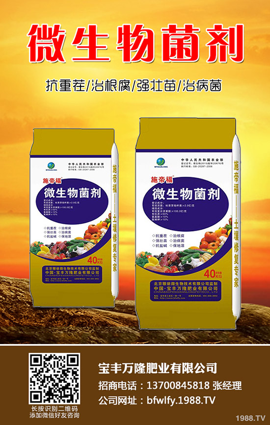 西蘭花種植方法有哪些？西蘭花種植注意事項！