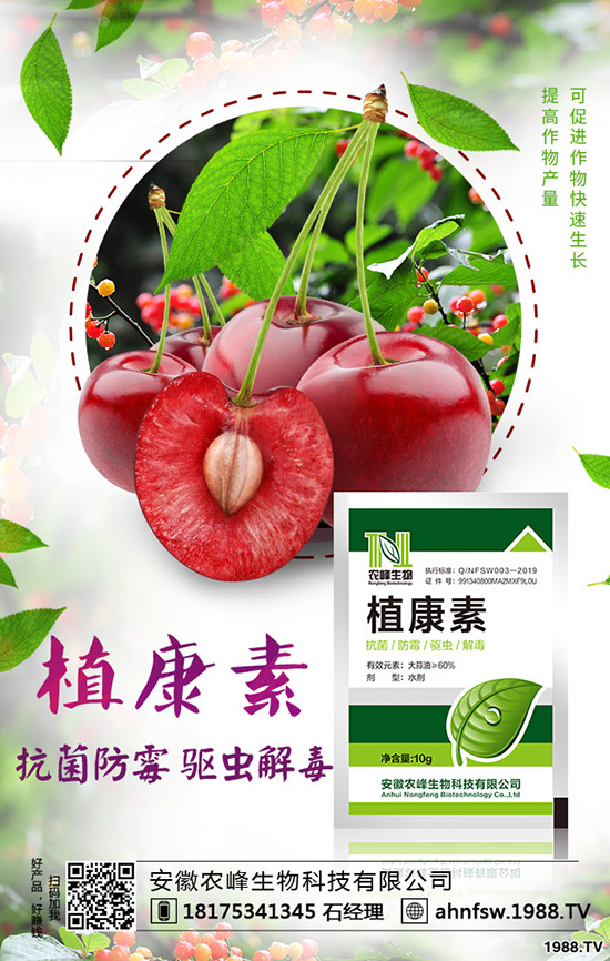 ��(d��ng)�w��ô�Nֲ����(d��ng)�w�NֲЧ�漰���༼�g(sh��)��