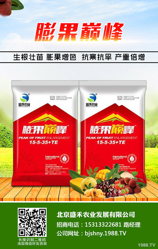 冬季大棚番茄空心果是什么原因，怎樣避免番茄空心果發(fā)生？