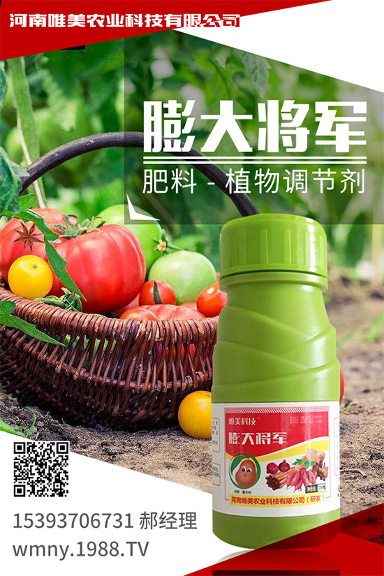 ������ݮ���ʩ���������ߴ���ĵر�ض���