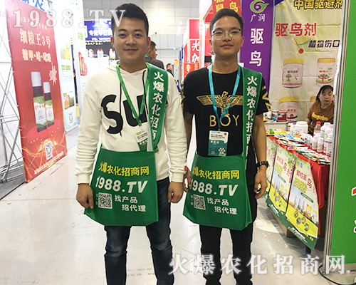     2019ȫ��ֲ�����ו���1988.TV���̟o�ϵK����(sh��)���У�