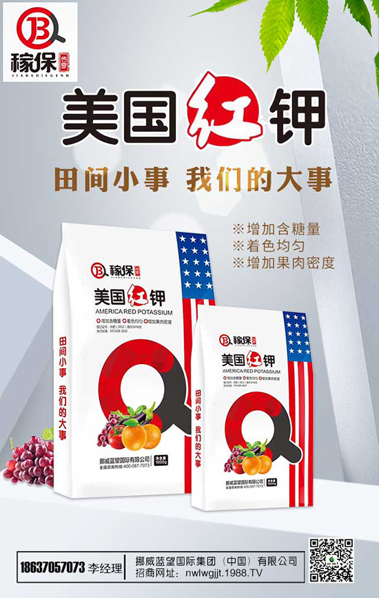 瑞香花養(yǎng)殖方法有哪些？瑞香花養(yǎng)殖注意事項！