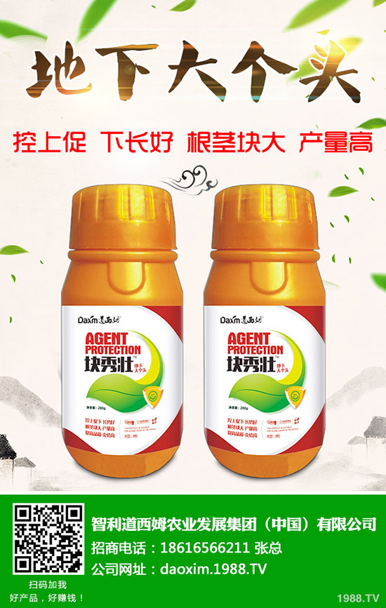 蘿卜得了炭疽病怎么辦？蘿卜炭疽病癥狀和防治方法！