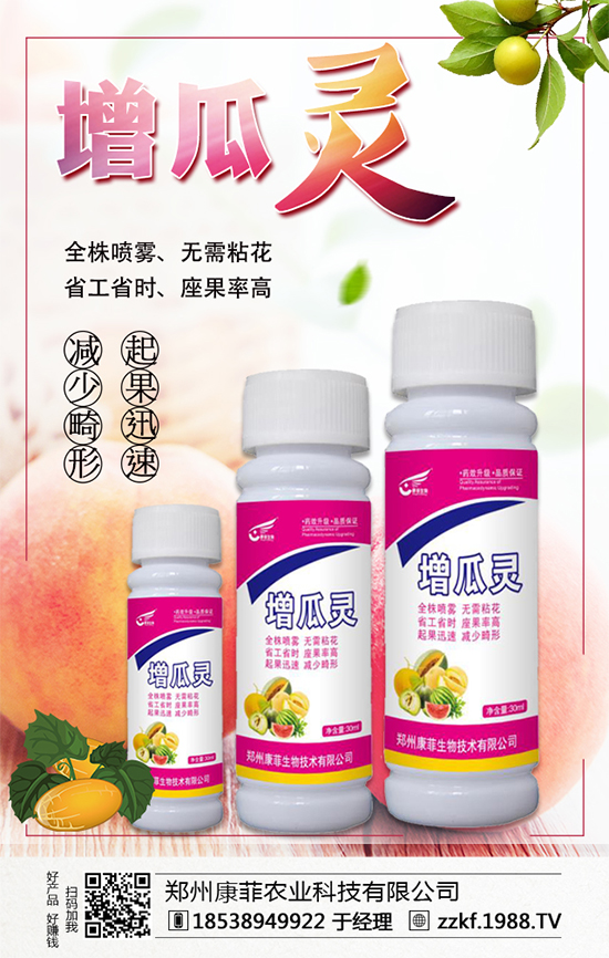 �����Ϲ���ô�Nֲ�������ϹϵķNֲ��Ҫ�c(di��n)��