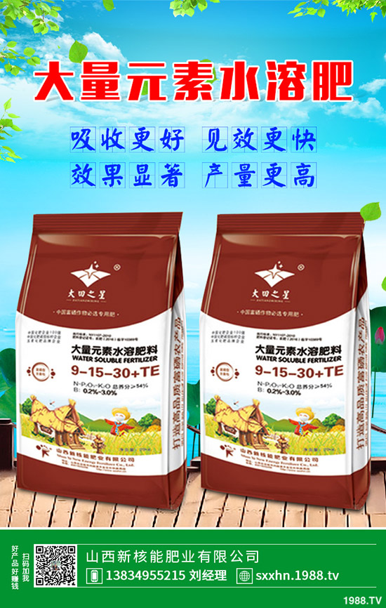 �ѹ�Ӣ�Nֲӯ����ʽ��һ���ѹ�Ӣ����Ч��������2020�зNֲǰ��ô��