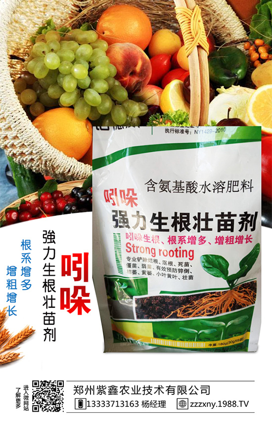 ��֥��Nֲ�r�g��ʲô�r�������֥��Nֲ�������g(sh��)��