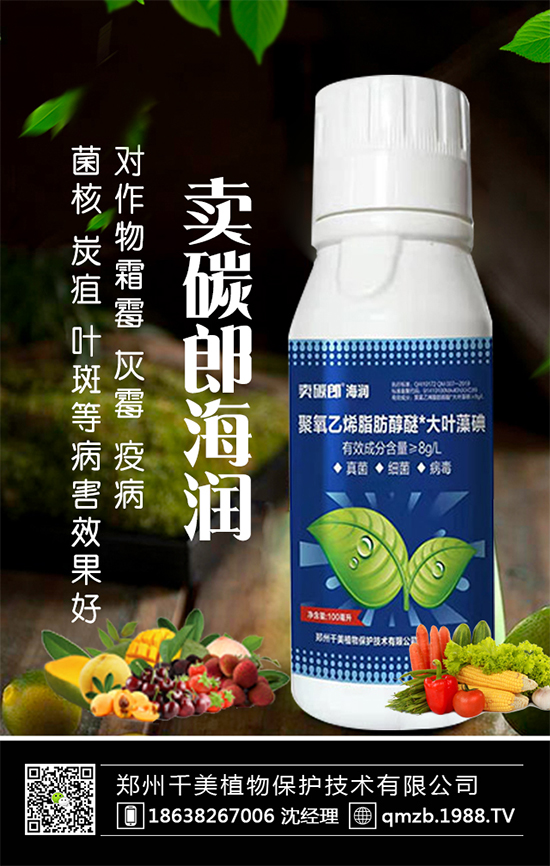 蘆筍什么季節(jié)種植？蘆筍常見病蟲害及防治！