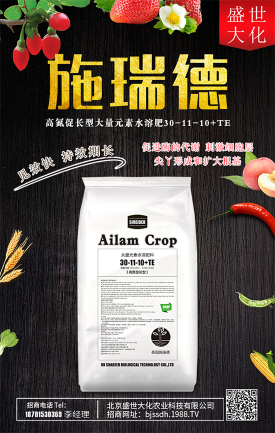 ʯ����ʲô�I(y��ng)�B(y��ng)�r(ji��)ֵ��ʯ������Щʳ�ù�Ч��