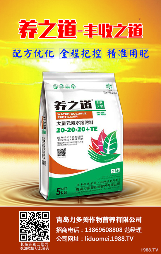 ��Ƥ�ɼٻ���զ��������Ƥ�ɼٻ��Q��ʩ