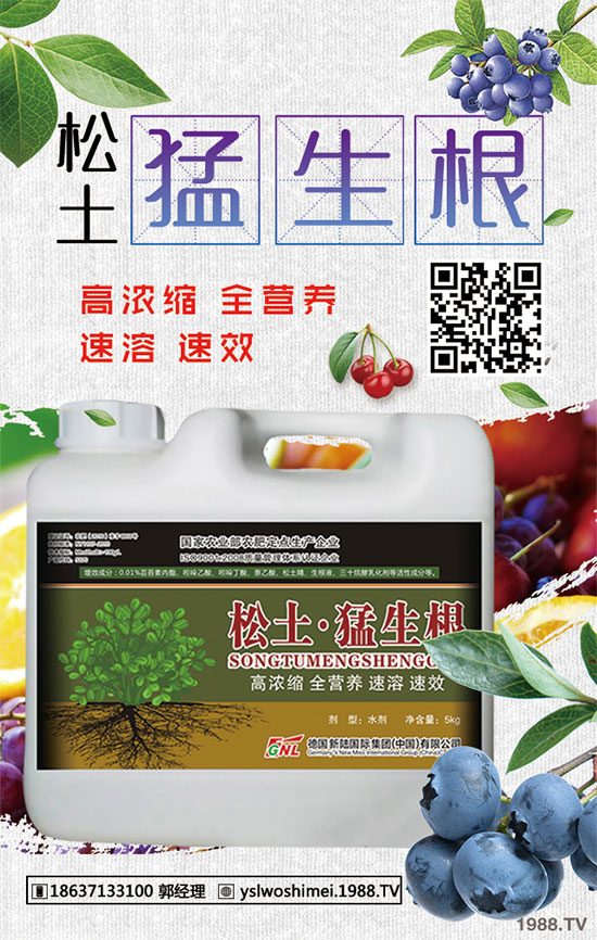 ��������Щ��Ч�����������ӵ�ʳ�ý��ɣ�