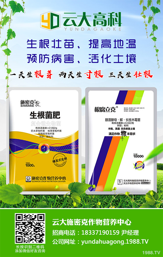 ��������ֲ��Ƥ�Ɇ�����Ƥ�ɶ�����ֲ����