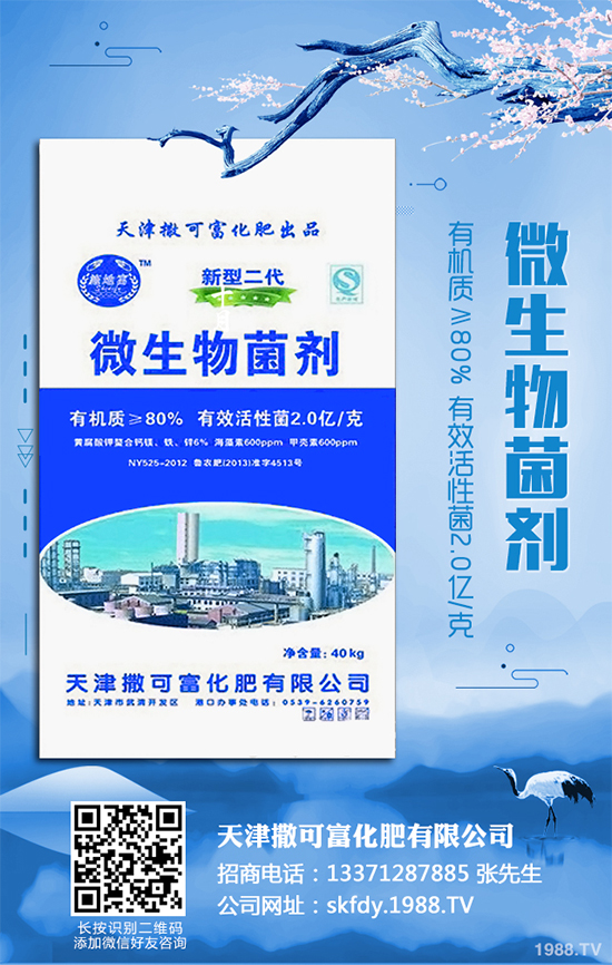 ��Ƥ�����Ժ���S��զ���£�ԓ��ô��Q�����������