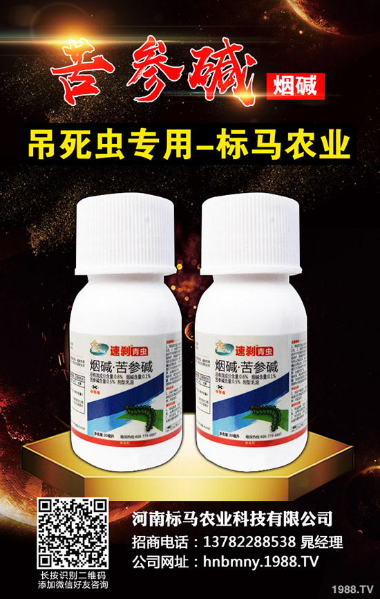 �������x��Σ���Y��l(f��)���l������������Щ���η�����