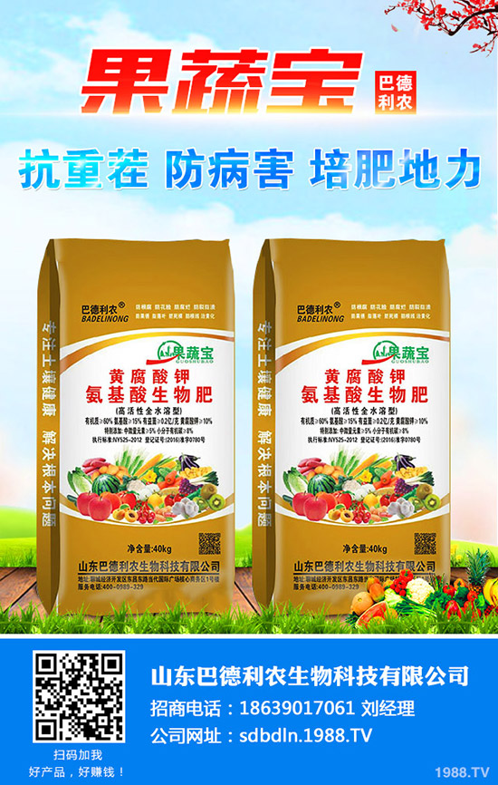     2019年11月4日近期最新鉀肥行情價(jià)格分析及后市預(yù)測(cè)！