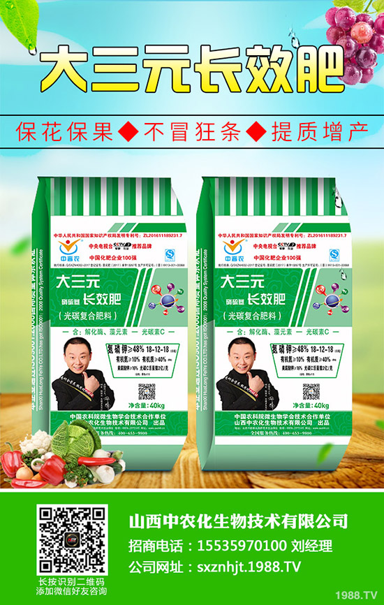     復(fù)合肥冬儲(chǔ)行情下沉！2019年11月4日今日復(fù)合肥出廠參考報(bào)一覽！