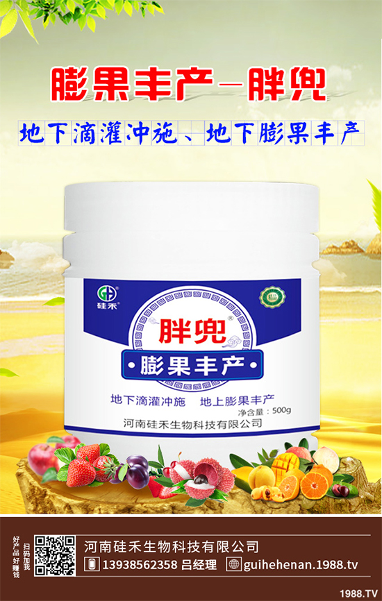 大棚西芹你知道該如何種植嗎？大棚西芹種植管理技術(shù)