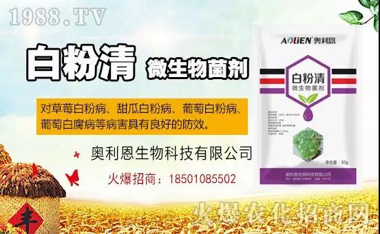 �׷۲�������(f��)�y�p���� ӛס�@��(g��)ˎ����Ч���ΰ׷۲����P����