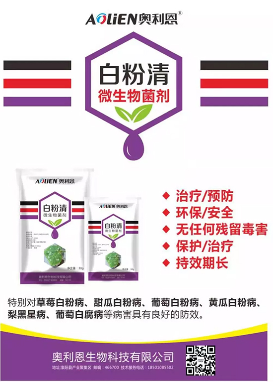 �׷۲�������(f��)�y�p���� ӛס�@��(g��)ˎ����Ч���ΰ׷۲����P����