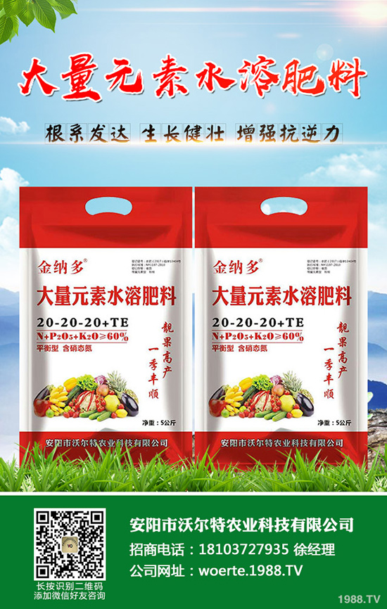 龍眼怎么種，龍眼種植要求有哪些？