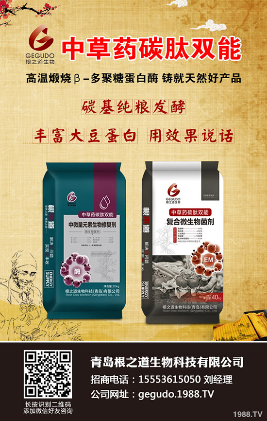 小麥土傳病害有哪些危害？小麥土傳病害發(fā)病規(guī)律及防治！