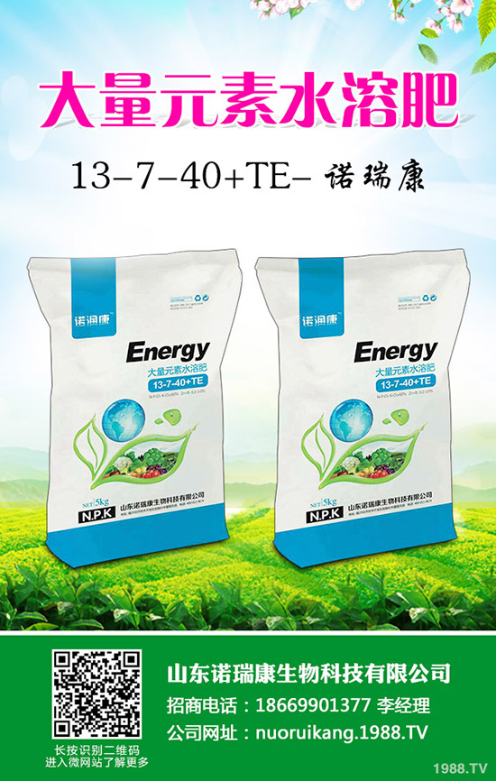     復(fù)合肥冬儲政策出臺不明！2019年11月8日最新復(fù)合肥價格日報！
