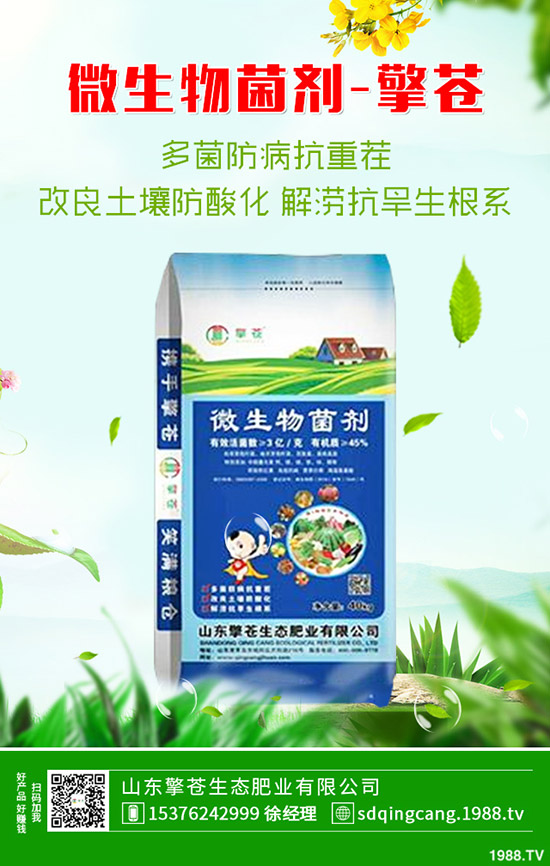     印度再次招標！2019年11月8日今日各地區(qū)尿素主流出廠報價一覽