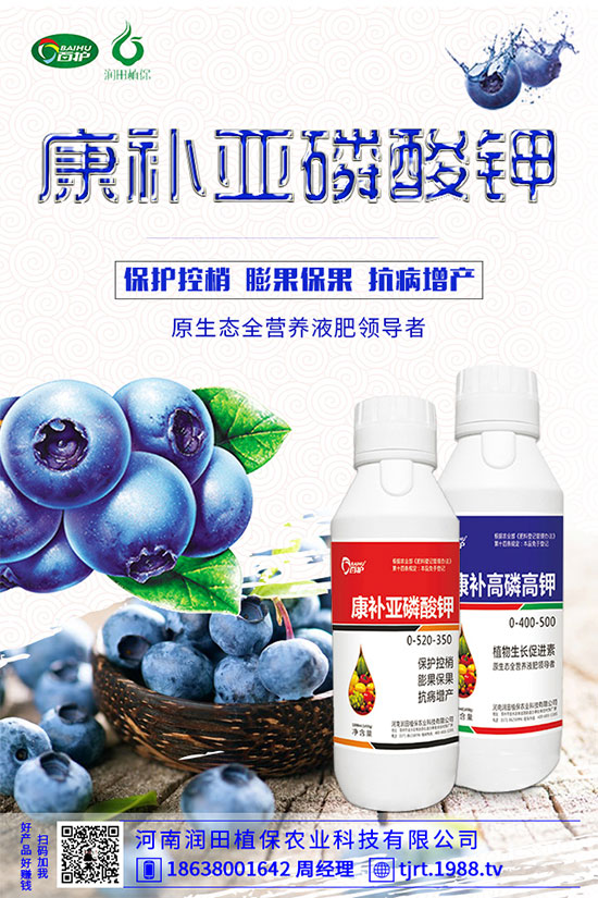 朝天椒什么播種？朝天椒的種植方法及病蟲(chóng)害防治