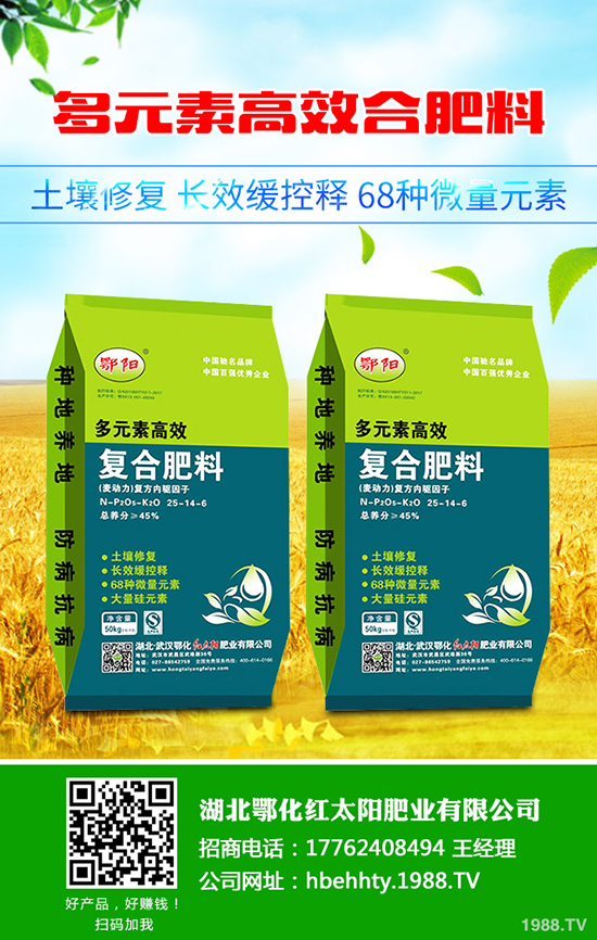 黑皮甘蔗怎么種，黑皮甘蔗種植技術(shù)有哪些？