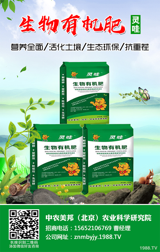 越冬蔬菜種植該注意什么？越冬蔬菜高產(chǎn)種植技術(shù)及注意事項(xiàng)