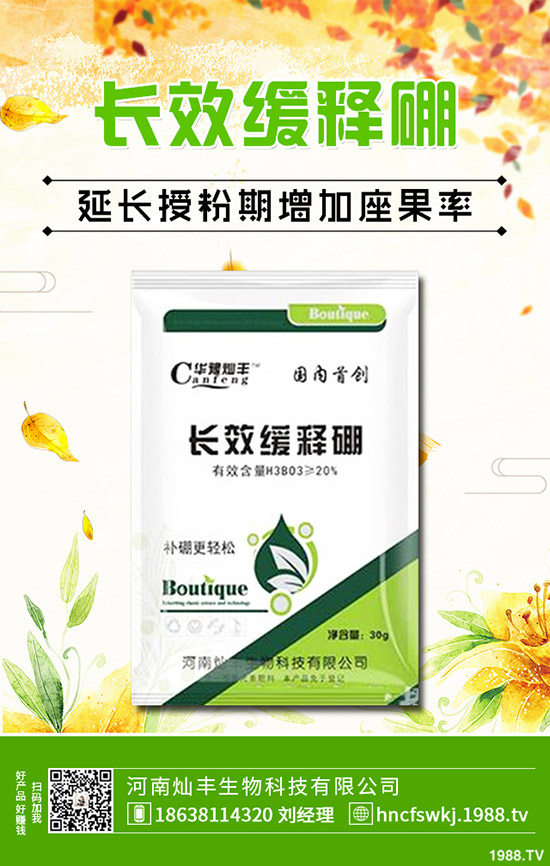 防風(fēng)種植技術(shù)有哪些？防風(fēng)的田間管理