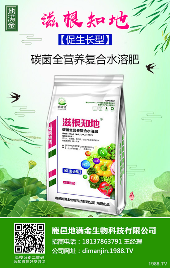     ���ֵ؅^(q��)���؈�(b��o)�r(ji��)�m(x��)�q��12��11�ս��ո��؅^(q��)�����������S��(b��o)�r(ji��)��