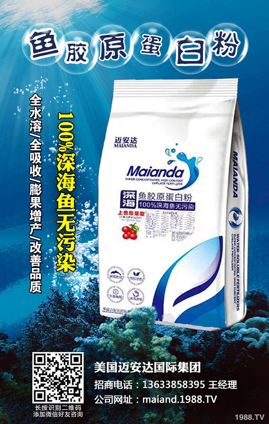     2020年柑橘苗價(jià)格多少錢一棵？柑橘種植前景怎么樣？賺錢么？