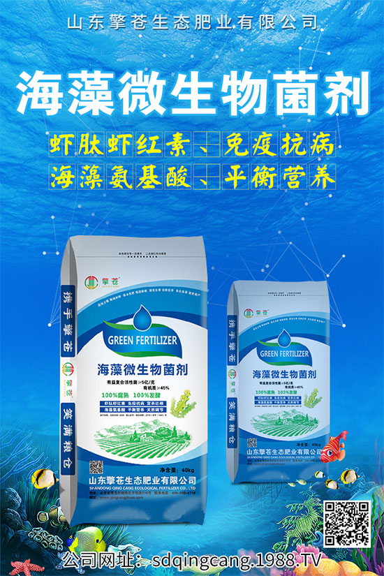 辣椒早衰什么癥狀？辣椒早衰的防治措施！