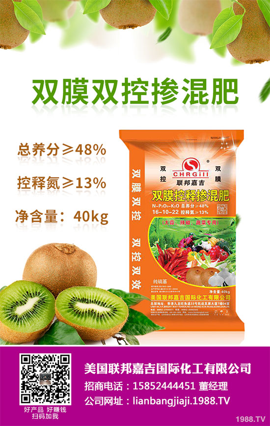 貢菊花該如何栽培？貢菊花高產(chǎn)栽培技術(shù)