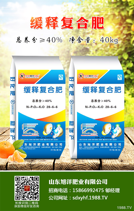 貢菊、杭白菊和胎菊有哪些不同之處？產(chǎn)地在哪？快來(lái)看看吧！