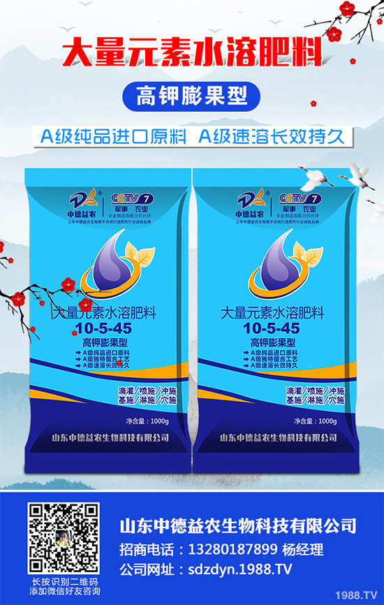 貢菊、杭白菊和胎菊有哪些不同之處？產(chǎn)地在哪？快來(lái)看看吧！