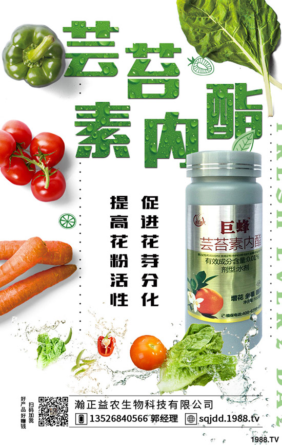 大棚蔬菜采光率低危害，如何提高大棚蔬菜采光率？