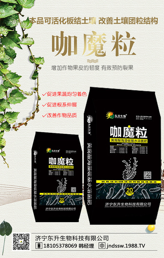 2020年種植獼猴桃賺錢嗎？獼猴桃市場(chǎng)前景分析！