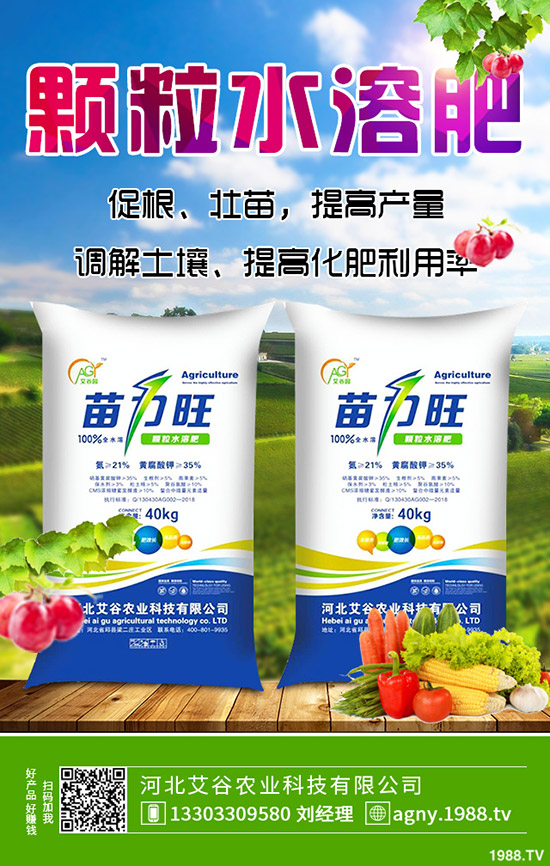 生姜什么時候種，生姜的種植條件有哪些？