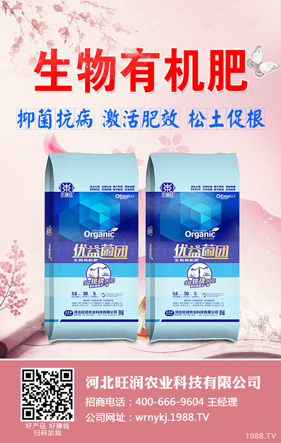 復(fù)合肥多地價(jià)格調(diào)漲！2019-12-20各地區(qū)復(fù)合肥出廠價(jià)格一覽