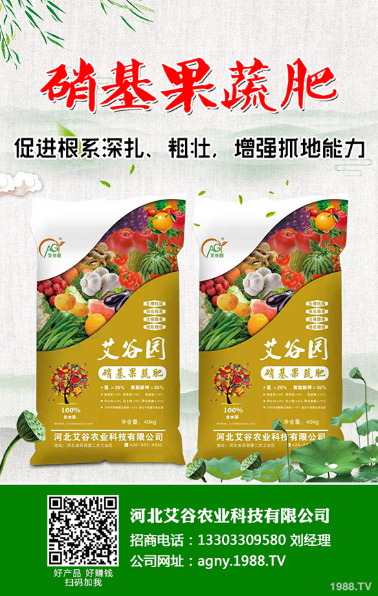     2020年春節(jié)將至！磷銨市場(chǎng)壓力巨大！最新二銨價(jià)格行情走勢(shì)預(yù)測(cè)！