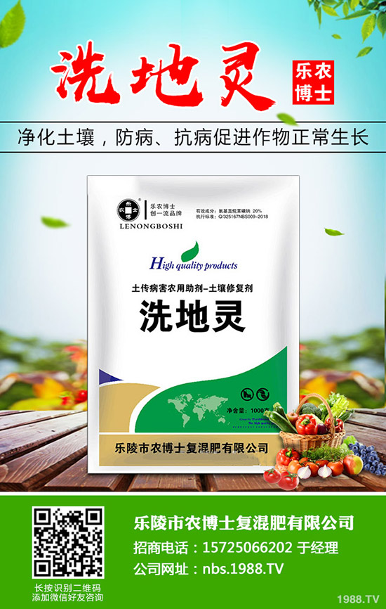 莧菜什么時候種植，莧菜的種植時間和方法！