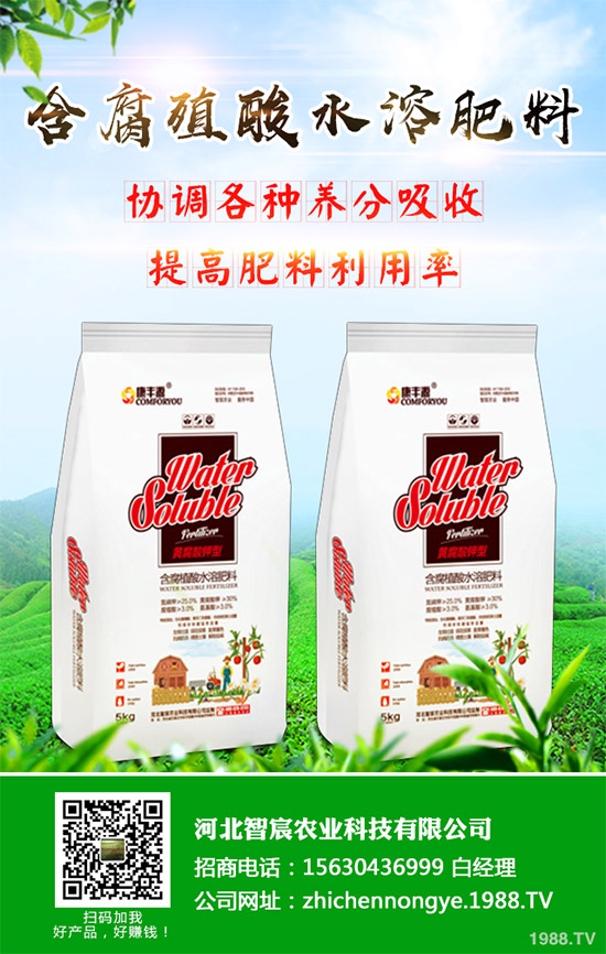 綠花菜該怎么種？綠花菜的高產(chǎn)種植技術(shù)