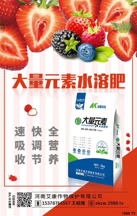 老虎姜該怎么種植？老虎姜高產(chǎn)種植技術(shù)管理