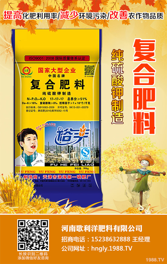 老虎姜該怎么種植？老虎姜高產(chǎn)種植技術(shù)管理