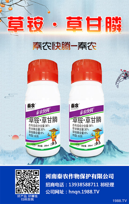 Prentiss������������(ch��ng)�s�ݳ��݄�Camp-D ��2��4-D�Ͱ��������