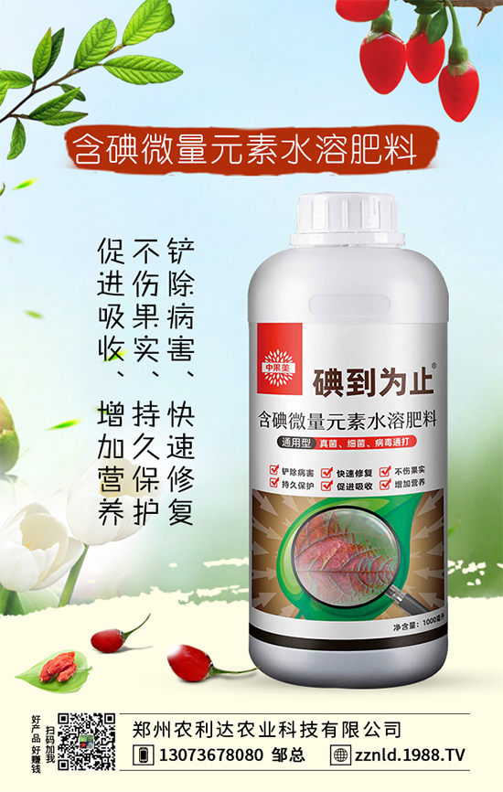 �t�}����ι��������S�գ�����ƌW(xu��)�����҂�֪������