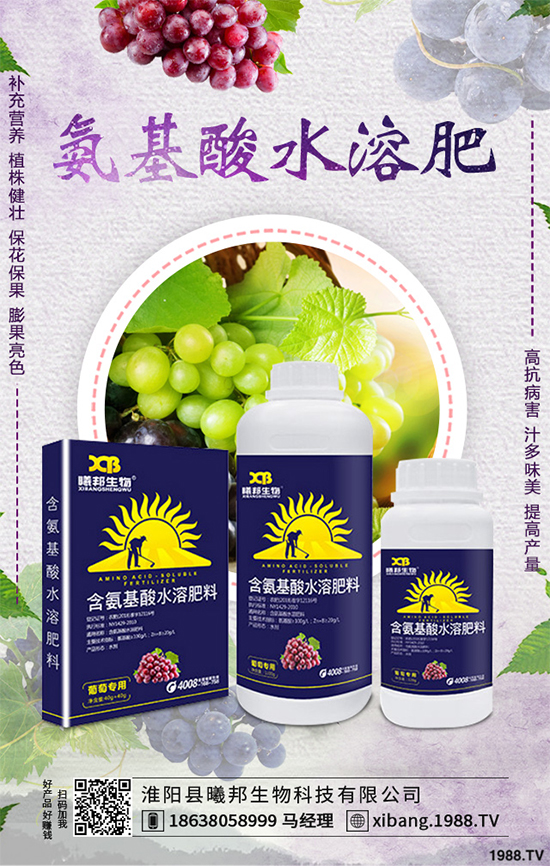 ����Nֲʲô��ٍ�X��2020���ߴ�ٍ�X�Nֲ�(xi��ng)Ŀ�������������