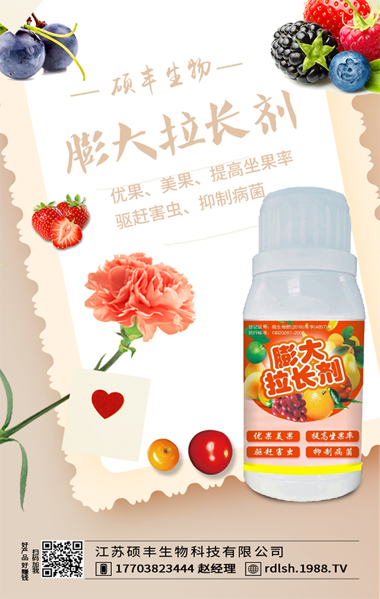 大棚西芹怎么種植？西芹的種植環(huán)境要求！