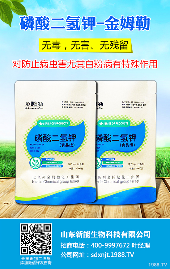 ħ��r������Xһ����2020��ħ��Nֲ���Ј�����